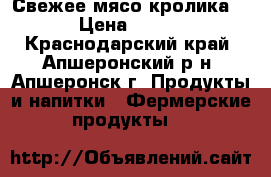 Свежее мясо кролика. › Цена ­ 350 - Краснодарский край, Апшеронский р-н, Апшеронск г. Продукты и напитки » Фермерские продукты   